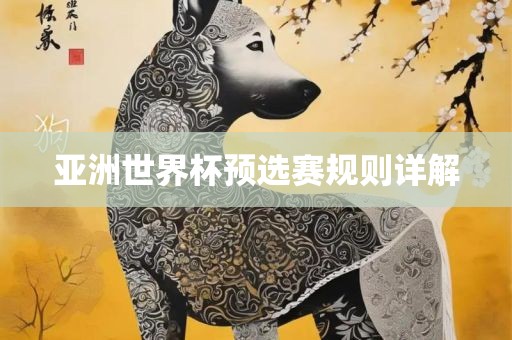 亚洲世界杯预选赛规则详解