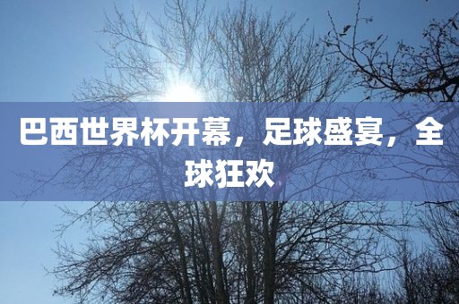 巴西世界杯开幕，足球盛宴，全球狂欢眉山市正发家政服务有限公司