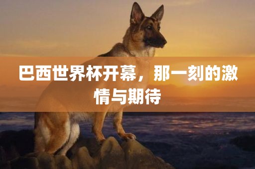 巴西世界杯开幕，那一刻的激情与期待