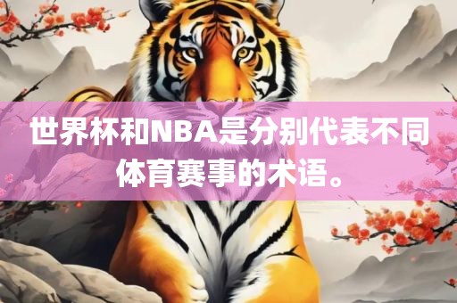 世界杯和NBA是分别代表不同体育赛事的术语。