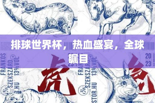 排球世界杯，热血盛宴，全球瞩目