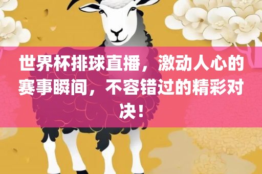 世界杯排球直播，激动人心的赛事瞬间，不容错过的精彩对决！眉山市正发家政服务有限公司