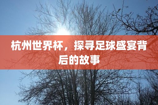 杭州世界杯，探寻足球盛宴背后的故事眉山市正发家政服务有限公司