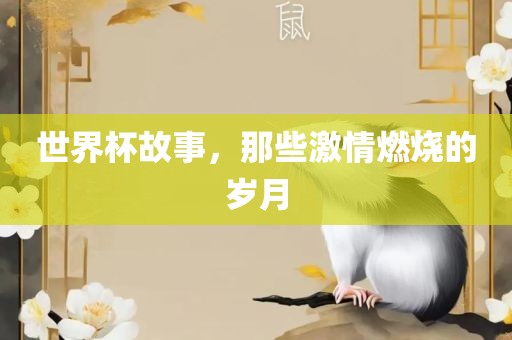 世界杯故事，那些激情燃烧的岁月