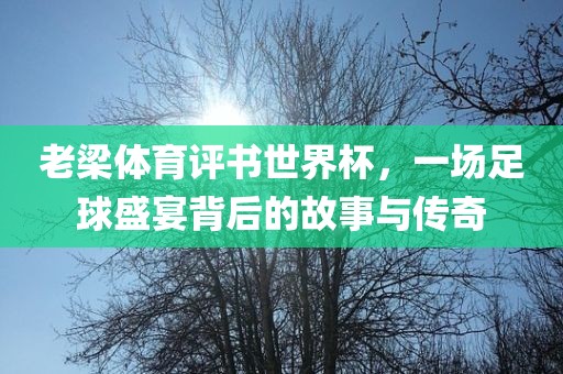 老梁体育评书世界杯，一场足球盛宴背后的故事与传奇