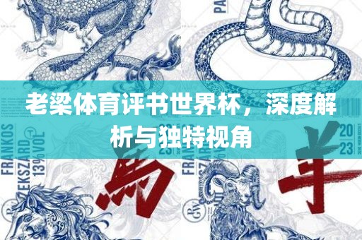 老梁体育评书世界杯，深度解析与独特视角