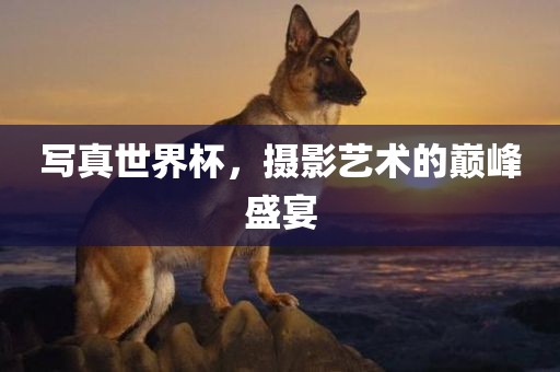 写真世界杯，摄影艺术的眉山市正发家政服务有限公司巅峰盛宴