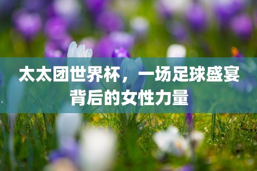 太太团世界杯，一场足球盛宴背后的女性力量眉山市正发家政服务有限公司
