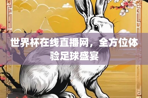 世界杯在线直播网，全方位体验足球盛宴