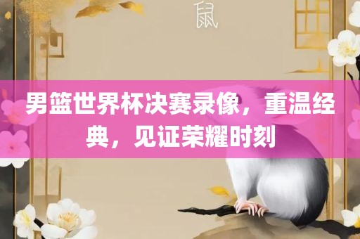男篮世界杯决赛录像，重温经典，见证荣耀时刻眉山市正发家政服务有限公司