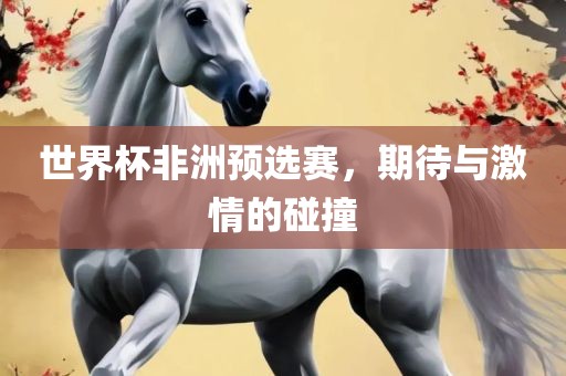 世界杯非洲预选赛，期待与激情的碰撞