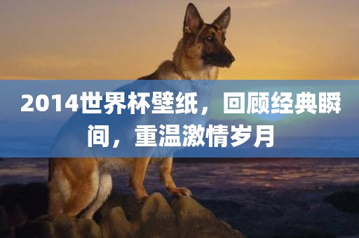 2014世界杯壁纸，回顾经典瞬间，重温激情岁月