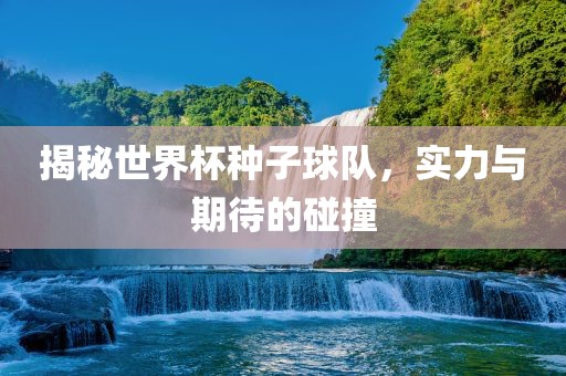 揭秘世界杯种子球队，实力与期待的碰撞
