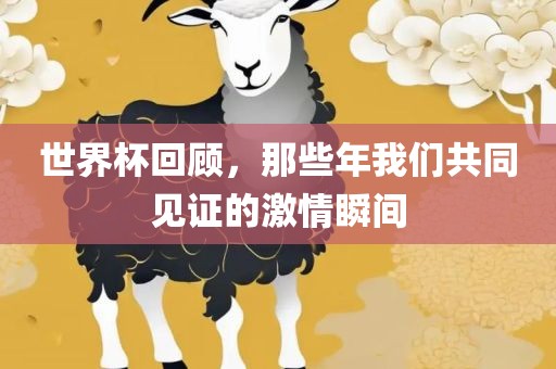世界杯回顾，那些年我们共同见证的激情瞬间