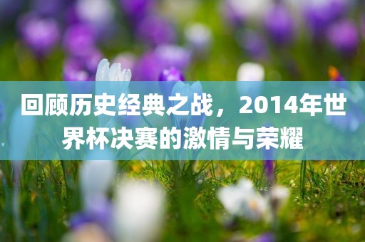 回顾历史经典之战，2014年世界杯决赛的激情与荣耀