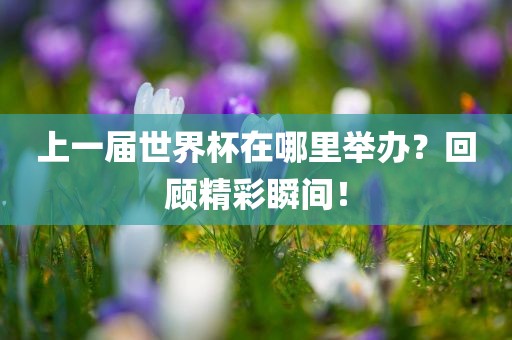 上一届世界杯在哪里举办？回顾精彩瞬间！