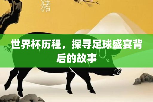 世界杯历程，探寻足球盛宴背后的故事