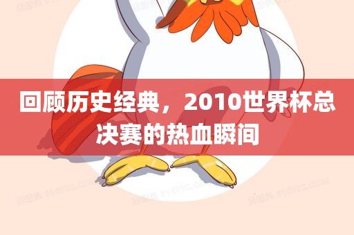 回顾历史经典，2010世界杯总决赛的热血瞬间眉山市正发家政服务有限公司