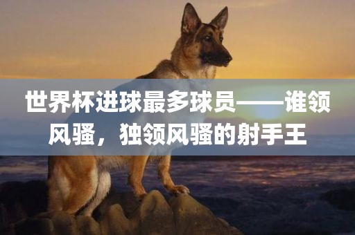 世界杯进球最多球员——谁领风骚，独领风骚的射手王