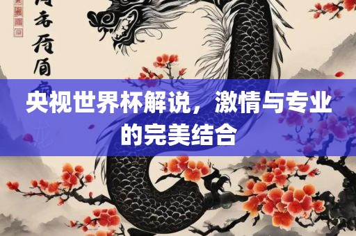 央视世界杯解说，激情与专业的完美结合
