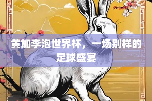 黄加李泡世界杯，一场别样的足球盛宴眉山市正发家政服务有限公司