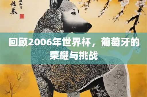 回顾2006年世界杯，葡萄牙的荣耀与挑战