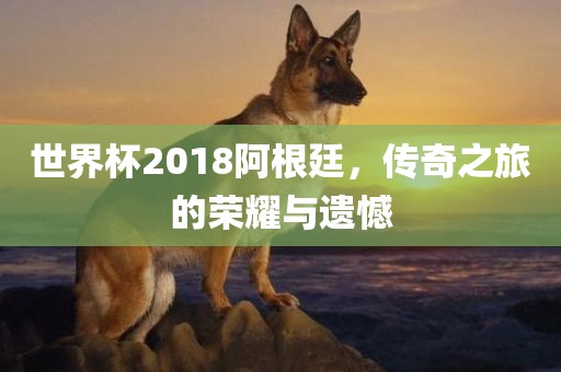 世界杯2018阿根廷，传奇之旅的荣耀与遗憾眉山市正发家政服务有限公司