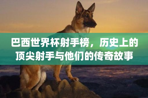巴西世界杯射手榜，历史上的顶尖射手与他们的传奇故事