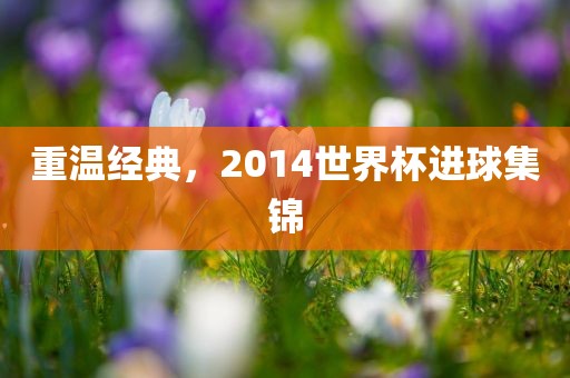 重温经典，2014世界杯进球集锦