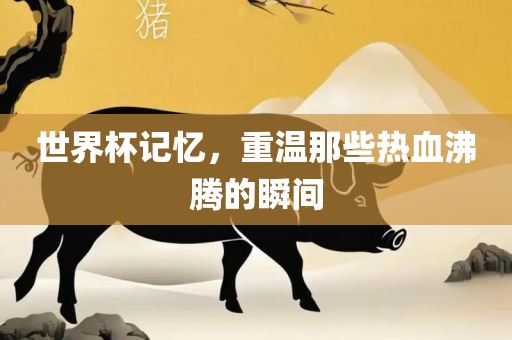 世界杯记忆，重温那些热血沸腾的瞬间眉山市正发家政服务有限公司
