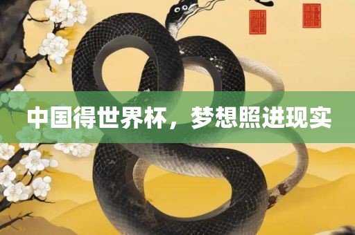 中国得世界杯，梦想照进现实