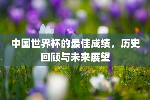 中国世界杯的最佳成绩，历史回顾与未来展望眉山市正发家政服务有限公司