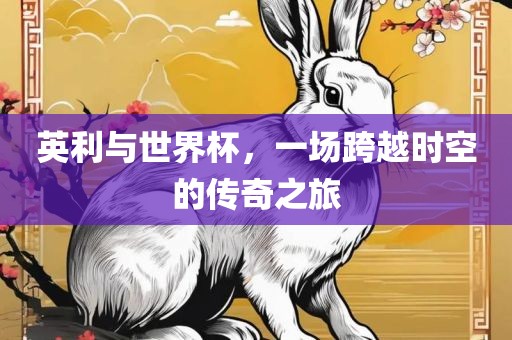 英利与世界杯，一场跨越时空的传奇之旅眉山市正发家政服务有限公司