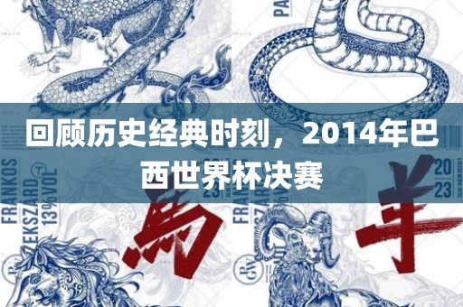 回顾历史经典时刻，2014年巴西世界杯决赛