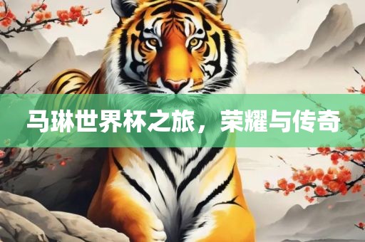 马琳世界杯之旅，荣耀与传奇