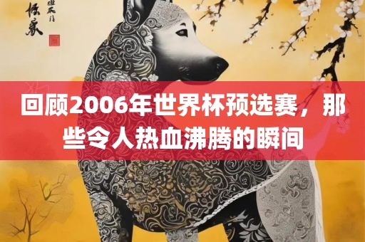 回顾2006年世界杯预选赛，那些令人热血沸腾的瞬间