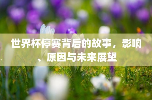 世界杯停赛背后的故事，影响、原因与未来展望