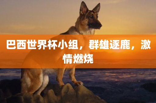 巴西世界杯小组，群雄逐鹿，激情燃烧眉山市正发家政服务有限公司