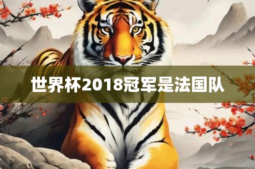世界杯2018冠军是法国队