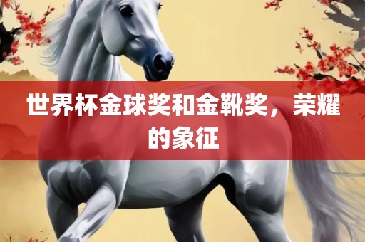 世界杯金球奖和金靴奖，荣耀的象征