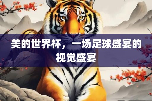 美的世界杯，一场足球盛宴的视觉盛宴