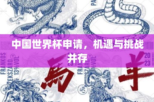 中国世界杯申请，机遇与挑战并存