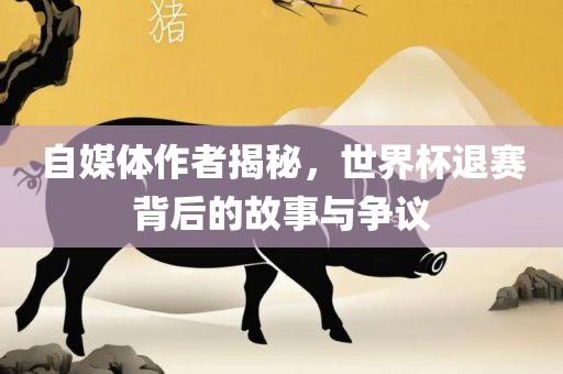 自媒体作者揭秘，世界杯退赛背后的故事与争议