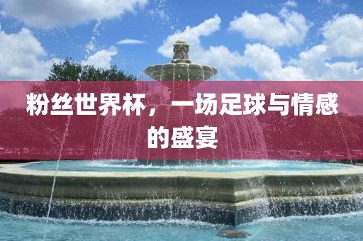 粉丝世界杯，一场足球与情感的盛宴