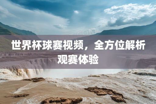 世界杯球赛视频，全方位解析观赛体验眉山市正发家政服务有限公司
