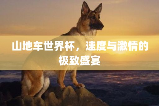 山地车世界杯，速度与激情的极致盛宴眉山市正发家政服务有限公司