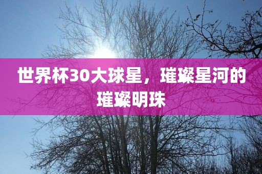 世界杯30大球星，璀璨星河的璀璨明珠
