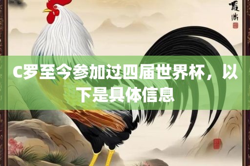 C罗至今参加过四届世界杯，以下是具体信息
