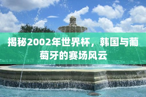 揭秘2002年世界杯，韩国与葡萄牙的赛场风云