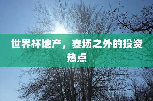 世界杯地产，赛场之外的投资热点眉山市正发家政服务有限公司